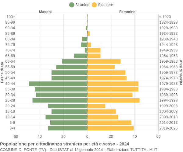 Grafico cittadini stranieri - Fonte 2024