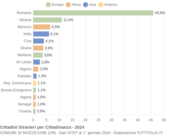 Grafico cittadinanza stranieri - Mozzecane 2024