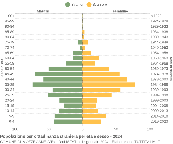 Grafico cittadini stranieri - Mozzecane 2024