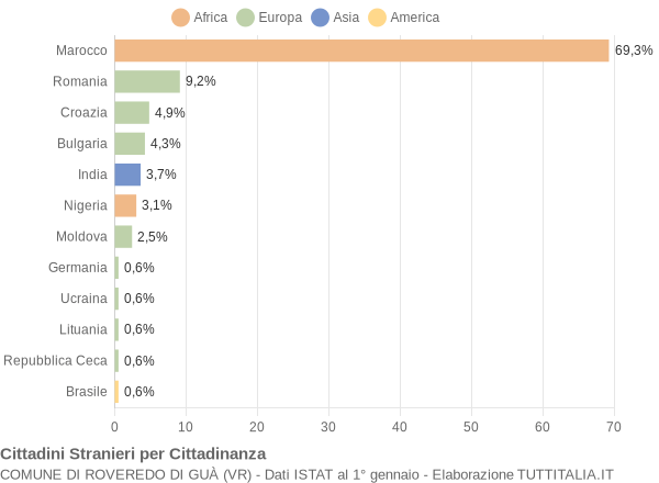 Grafico cittadinanza stranieri - Roveredo di Guà 2009