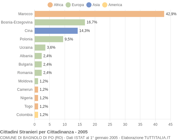 Grafico cittadinanza stranieri - Bagnolo di Po 2005