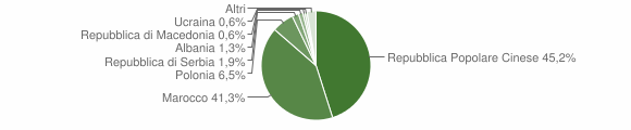 Grafico cittadinanza stranieri - Bagnolo di Po 2009