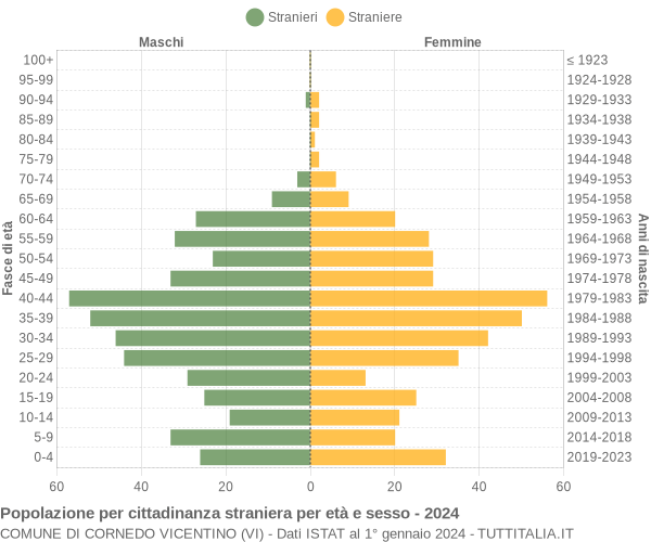 Grafico cittadini stranieri - Cornedo Vicentino 2024