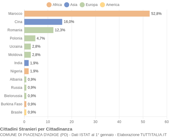 Grafico cittadinanza stranieri - Piacenza d'Adige 2019