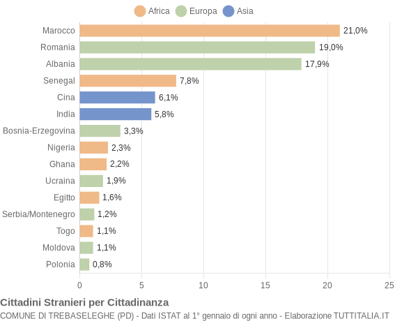 Grafico cittadinanza stranieri - Trebaseleghe 2005
