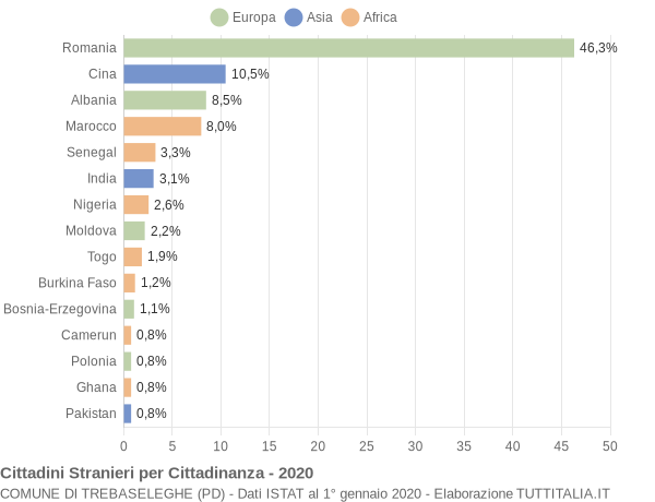 Grafico cittadinanza stranieri - Trebaseleghe 2020