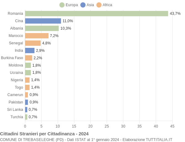 Grafico cittadinanza stranieri - Trebaseleghe 2024