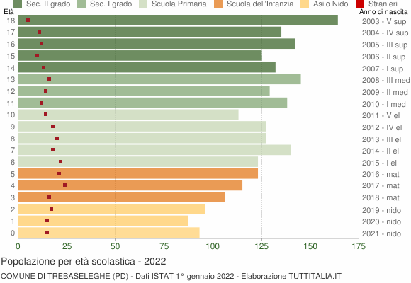 Grafico Popolazione in età scolastica - Trebaseleghe 2022
