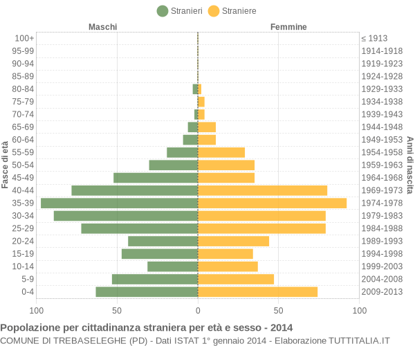 Grafico cittadini stranieri - Trebaseleghe 2014