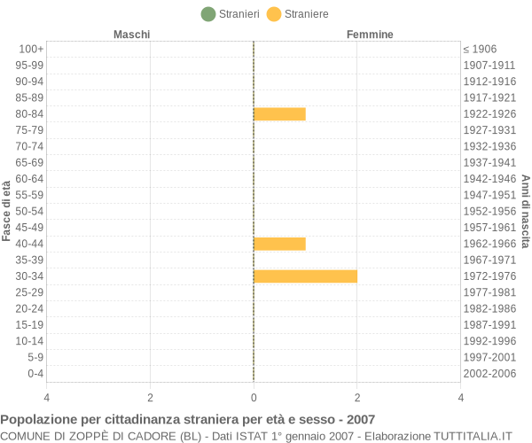 Grafico cittadini stranieri - Zoppè di Cadore 2007