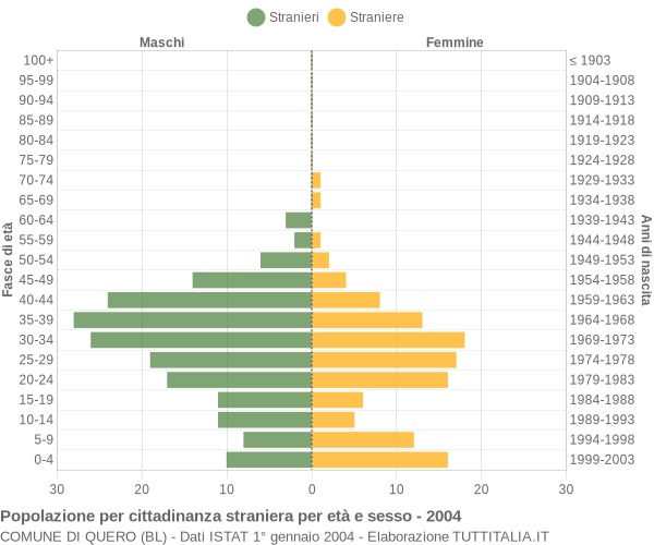 Grafico cittadini stranieri - Quero 2004