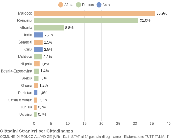 Grafico cittadinanza stranieri - Ronco all'Adige 2019