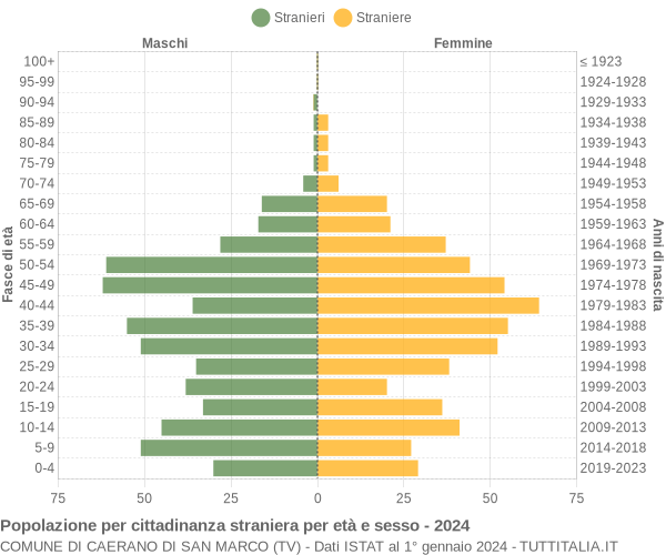 Grafico cittadini stranieri - Caerano di San Marco 2024