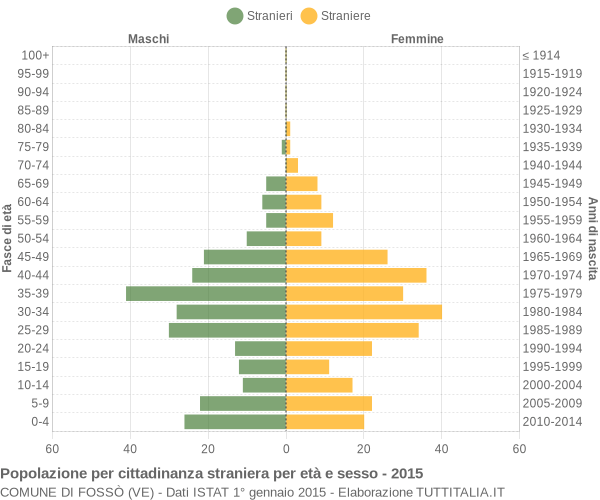 Grafico cittadini stranieri - Fossò 2015