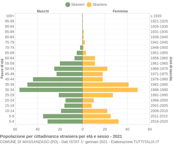 Grafico cittadini stranieri - Massanzago 2021