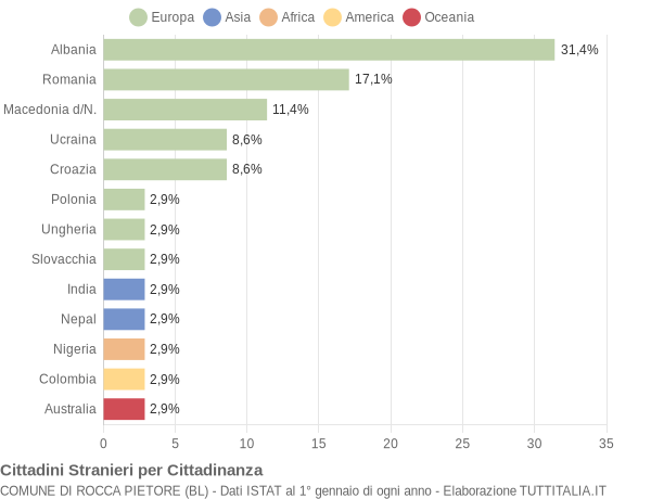 Grafico cittadinanza stranieri - Rocca Pietore 2009