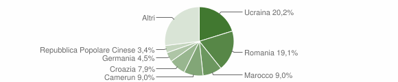Grafico cittadinanza stranieri - Auronzo di Cadore 2009