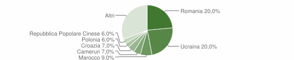 Grafico cittadinanza stranieri - Auronzo di Cadore 2010