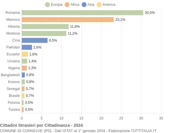 Grafico cittadinanza stranieri - Conselve 2024