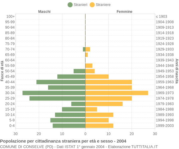 Grafico cittadini stranieri - Conselve 2004