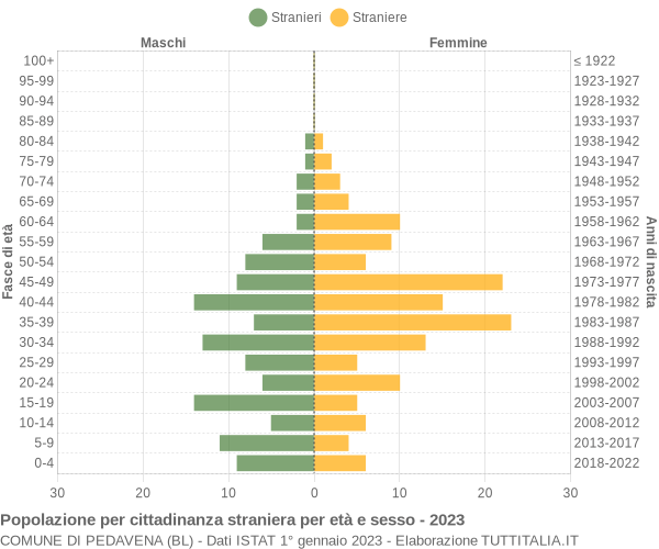 Grafico cittadini stranieri - Pedavena 2023