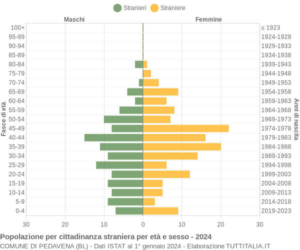 Grafico cittadini stranieri - Pedavena 2024