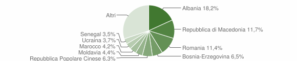 Grafico cittadinanza stranieri - Silea 2005