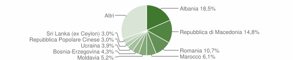 Grafico cittadinanza stranieri - Silea 2007
