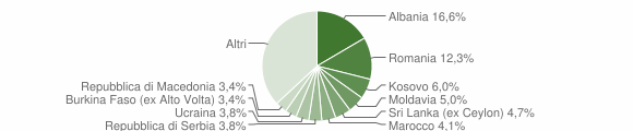 Grafico cittadinanza stranieri - Silea 2009