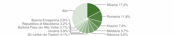 Grafico cittadinanza stranieri - Silea 2010