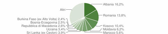 Grafico cittadinanza stranieri - Silea 2013