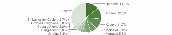 Grafico cittadinanza stranieri - Silea 2015