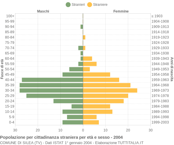 Grafico cittadini stranieri - Silea 2004