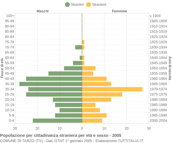 Grafico cittadini stranieri - Tarzo 2005