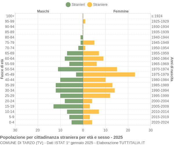 Grafico cittadini stranieri - Tarzo 2025