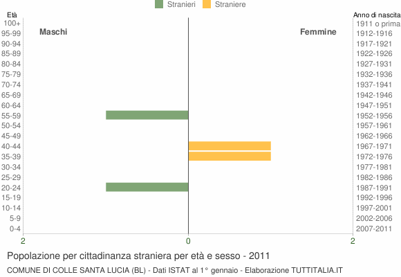 Grafico cittadini stranieri - Colle Santa Lucia 2011