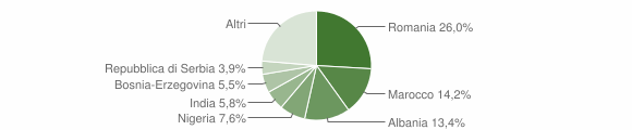 Grafico cittadinanza stranieri - Illasi 2009