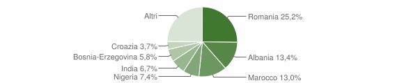 Grafico cittadinanza stranieri - Illasi 2010