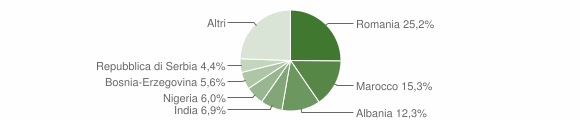 Grafico cittadinanza stranieri - Illasi 2011