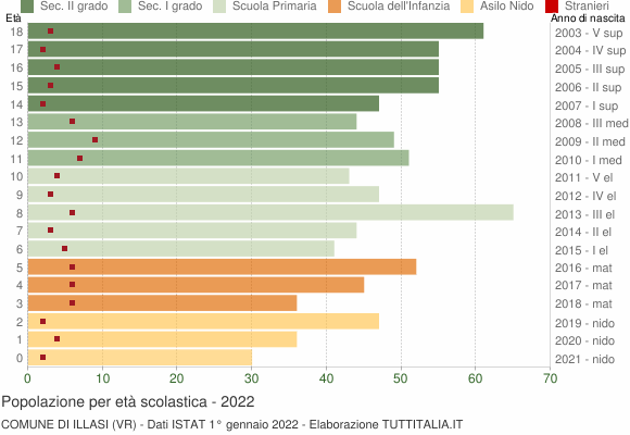 Grafico Popolazione in età scolastica - Illasi 2022