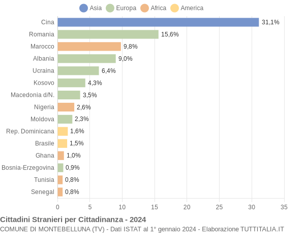 Grafico cittadinanza stranieri - Montebelluna 2024