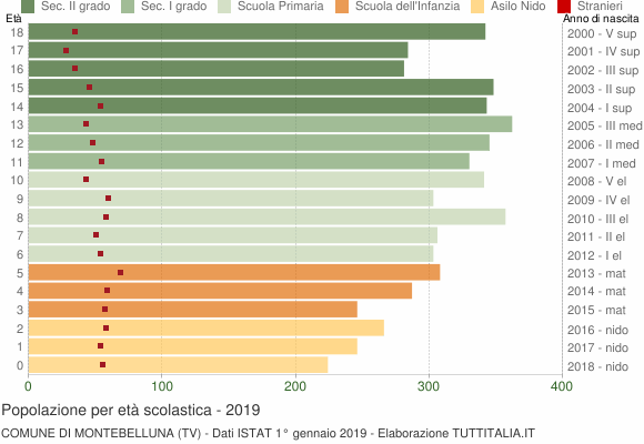 Grafico Popolazione in età scolastica - Montebelluna 2019