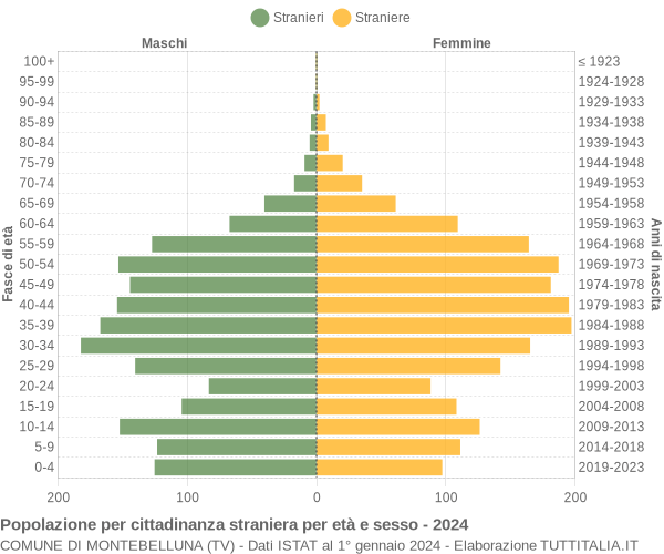 Grafico cittadini stranieri - Montebelluna 2024