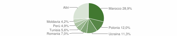 Grafico cittadinanza stranieri - Valle di Cadore 2013
