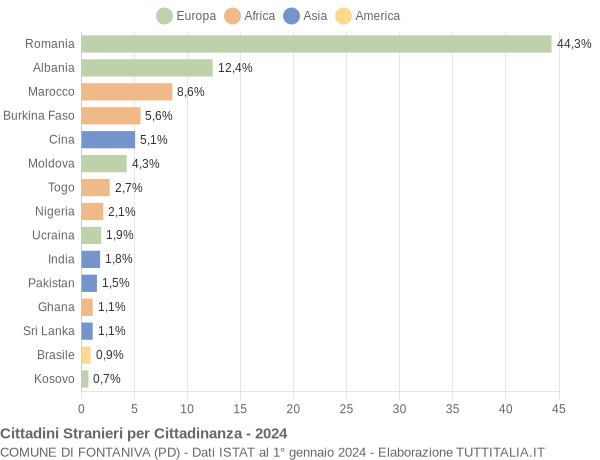 Grafico cittadinanza stranieri - Fontaniva 2024