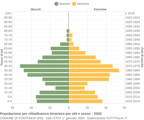 Grafico cittadini stranieri - Fontaniva 2020