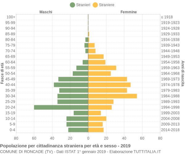 Grafico cittadini stranieri - Roncade 2019