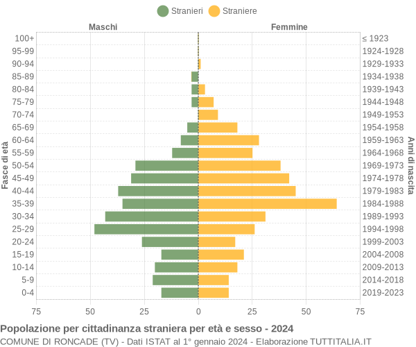 Grafico cittadini stranieri - Roncade 2024