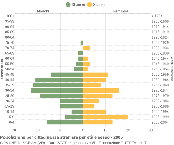 Grafico cittadini stranieri - Sorgà 2005