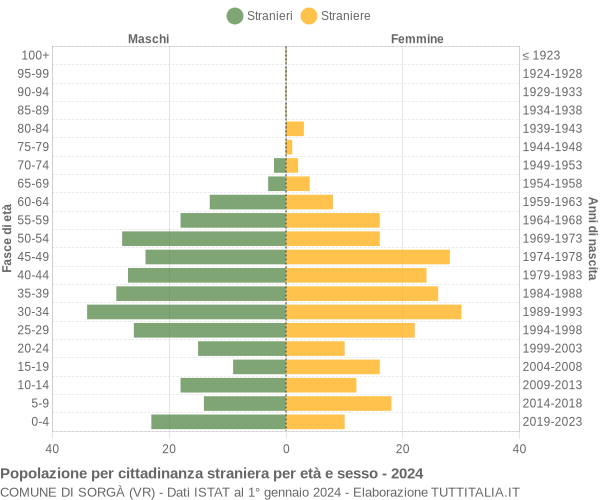 Grafico cittadini stranieri - Sorgà 2024